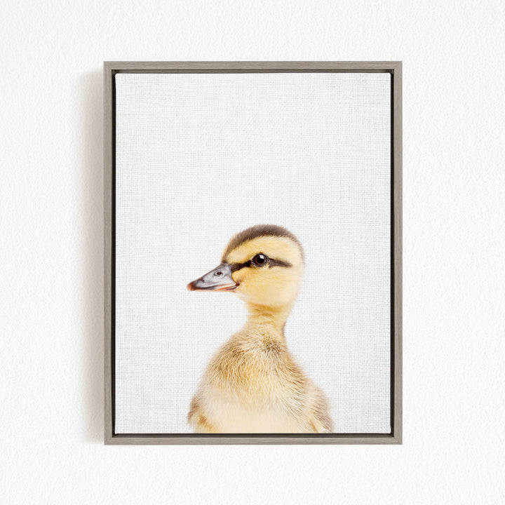 A young duckling with a yellow and brown coloration is the focus of the image, captured in a framed photograph against a plain white background.