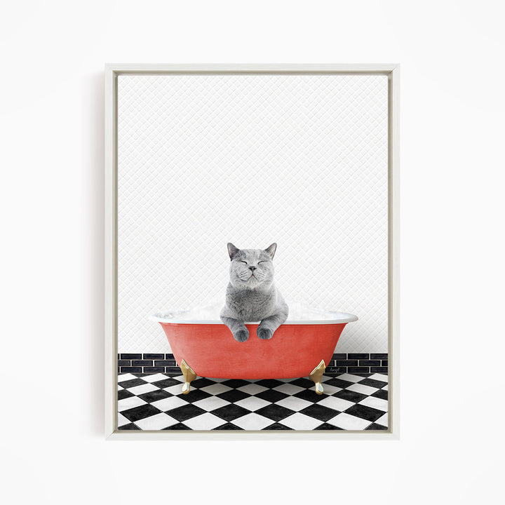 A gray cat sitting in a red bathtub filled with bubbles, with a black and white checkered floor in the background.