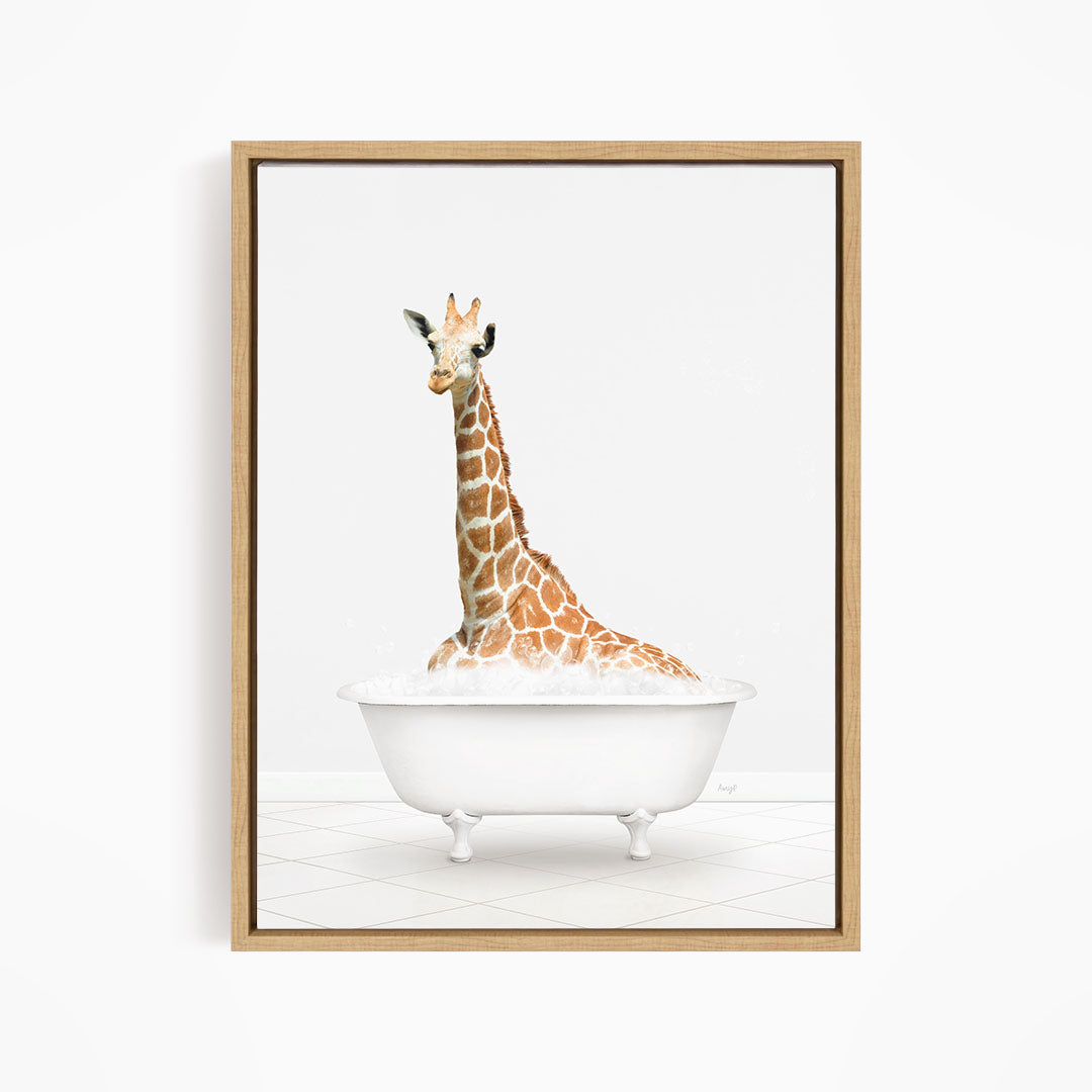 A giraffe sitting in a white bathtub filled with water.