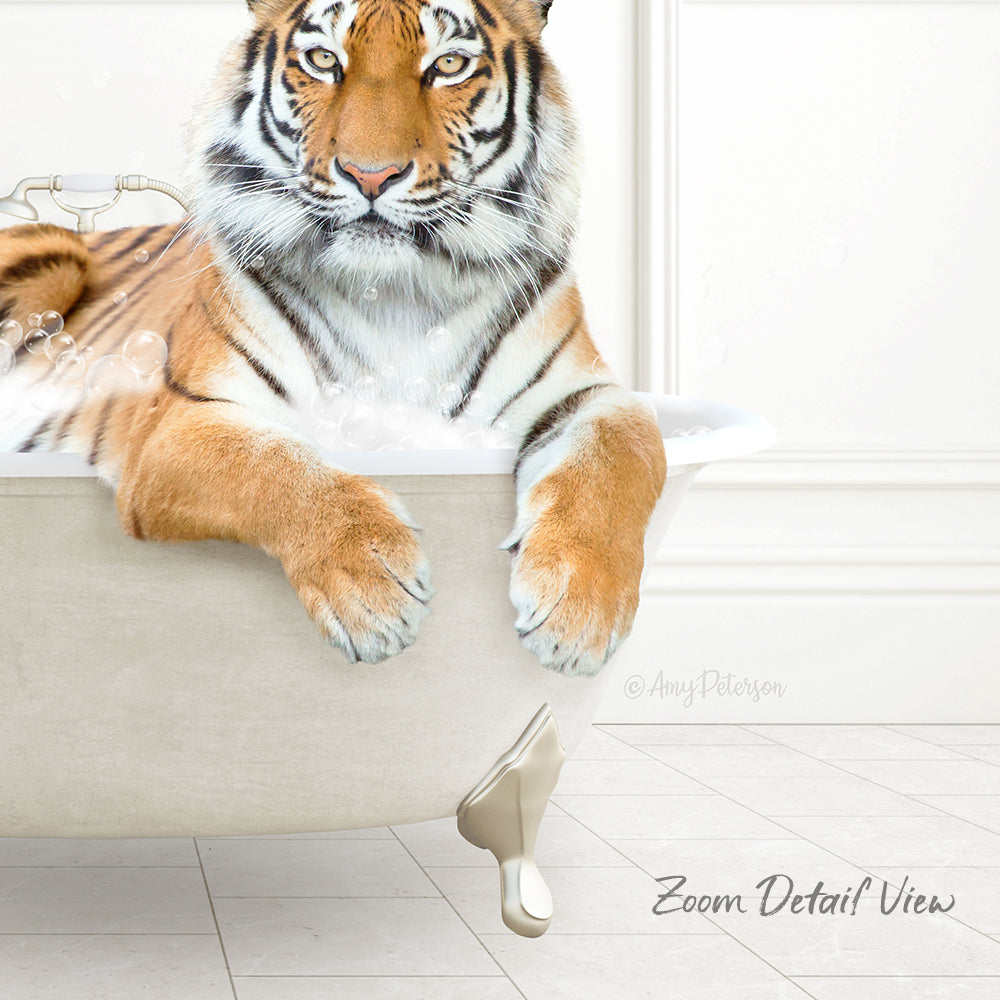 A tiger is sitting in a bathtub filled with water, appearing relaxed and enjoying the bath.
