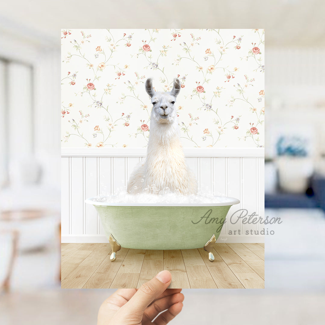 a hand holding a photo of a llama in a bathtub