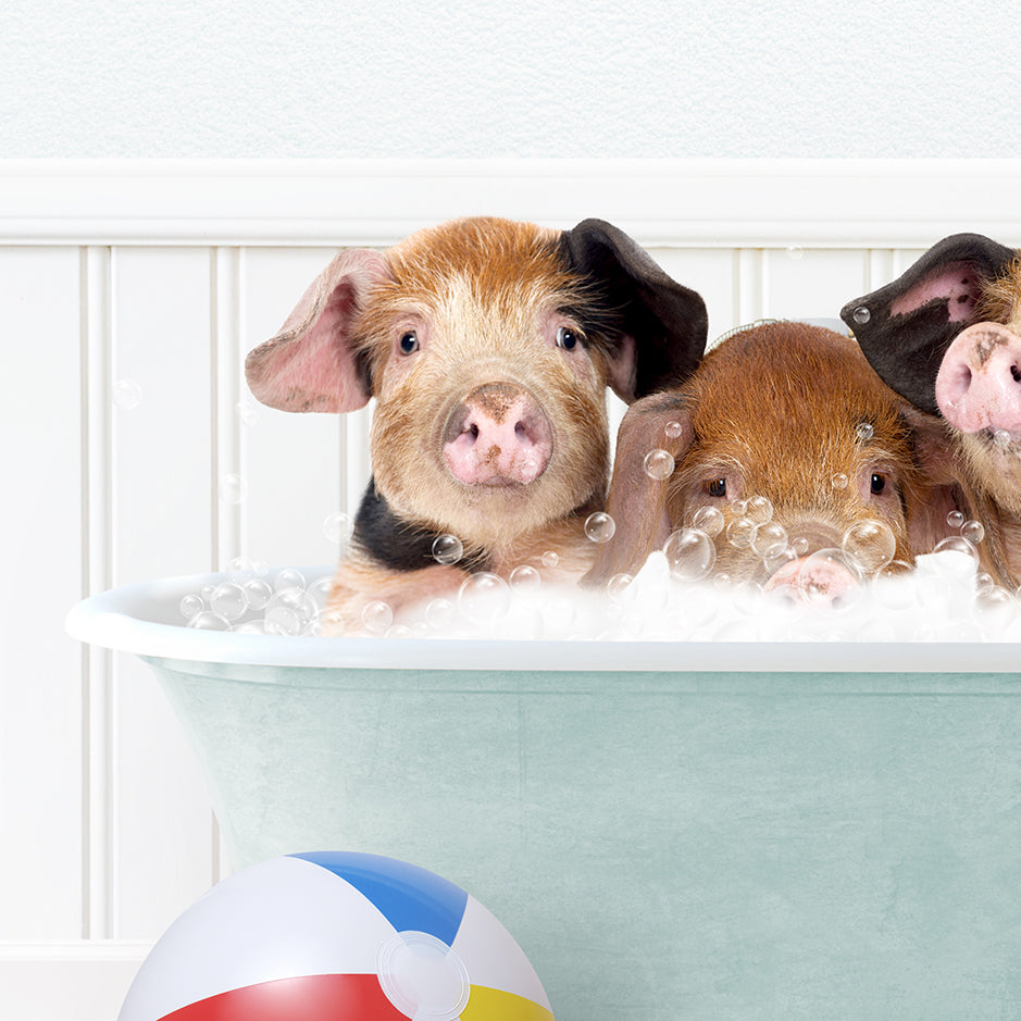 three pigs in a bathtub with bubbles and a beach ball