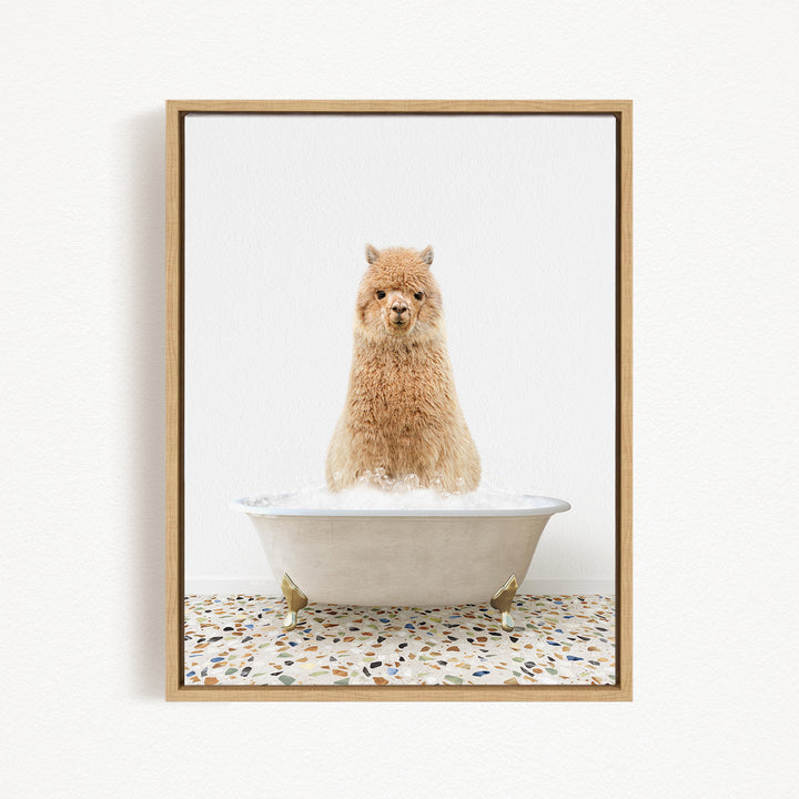A fluffy brown alpaca sitting in a white bathtub filled with water, with a speckled floor in the background.
