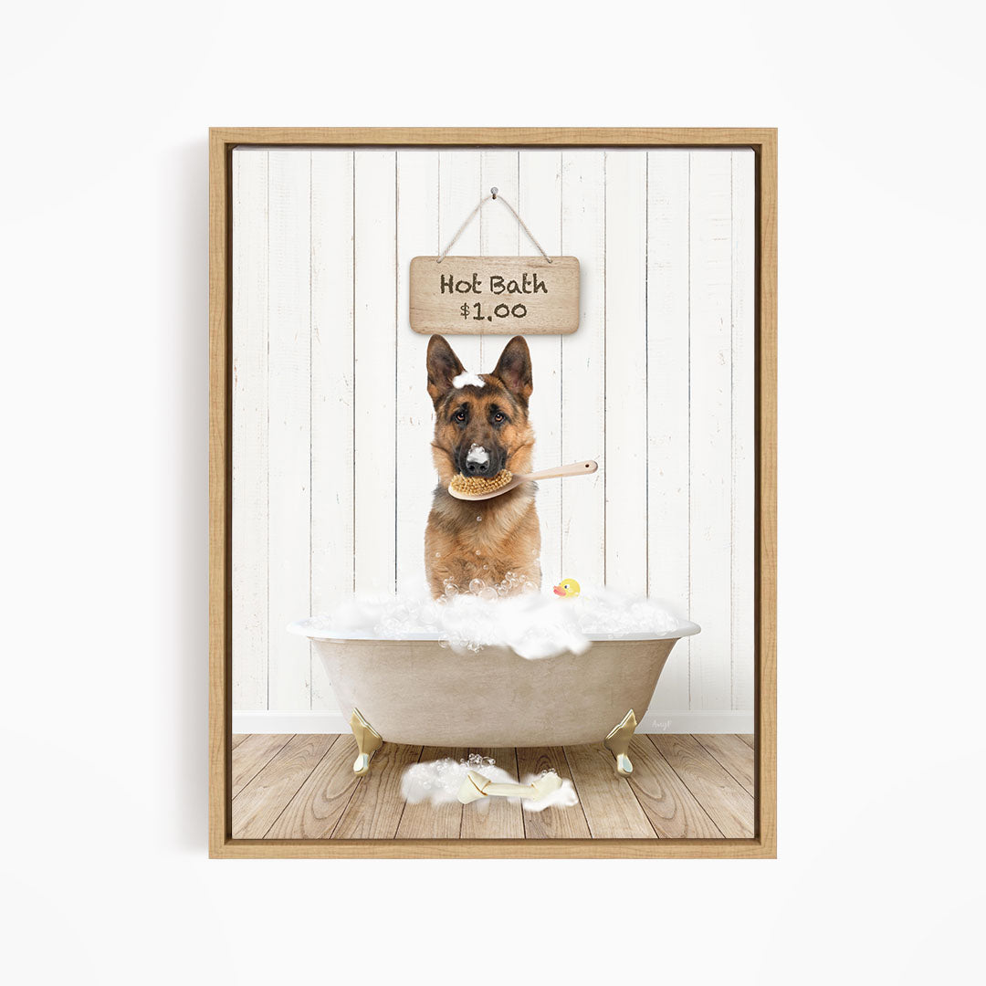 A German Shepherd dog sitting in a bathtub filled with bubbles, with a sign above the tub indicating a hot bath for $1.00.