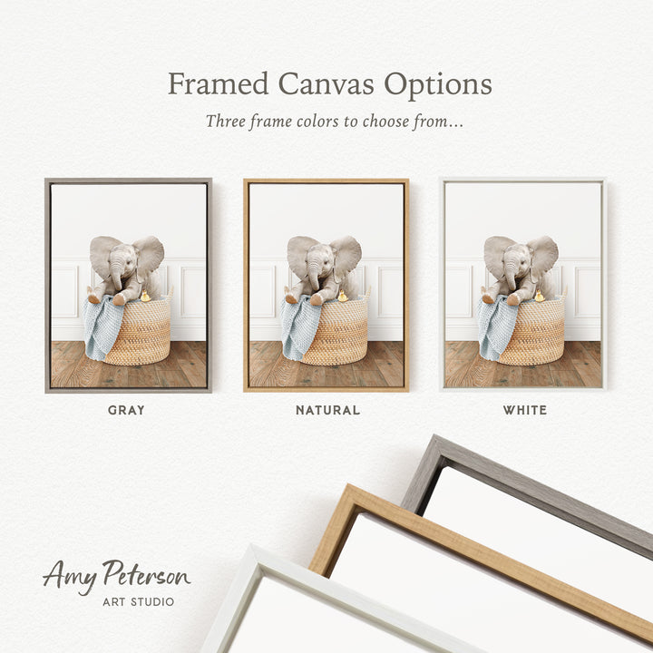 three framed canvas options, each featuring a different color and frame style. The options include a gray frame, a natural frame, and a white frame. The text above the images reads " framed Canvas Options" and "Three frame colors to choose from...". The text below the images reads "Grays", "NATURAL", and "WHITE". The artist's name, " Amy Peterson ART STUDIO", is also present.
