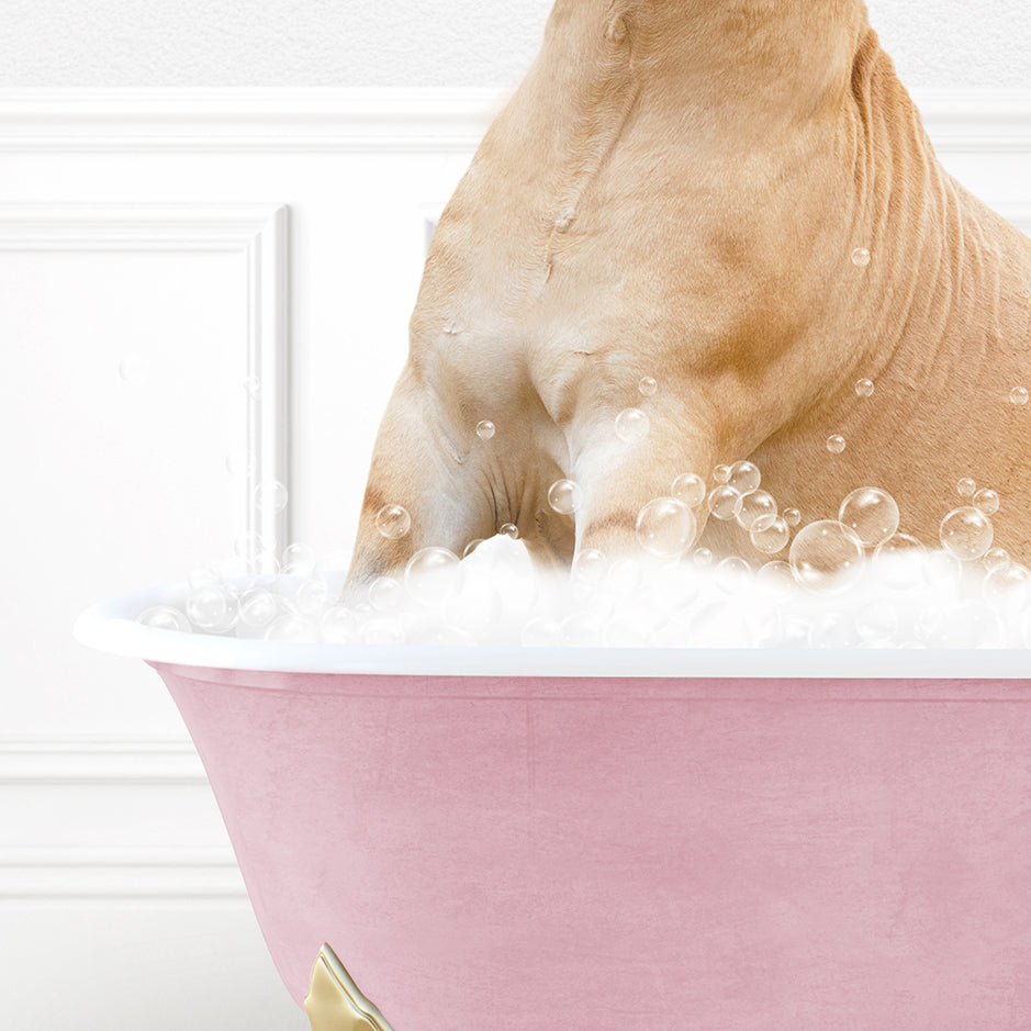 a dog sitting in a bathtub full of bubbles