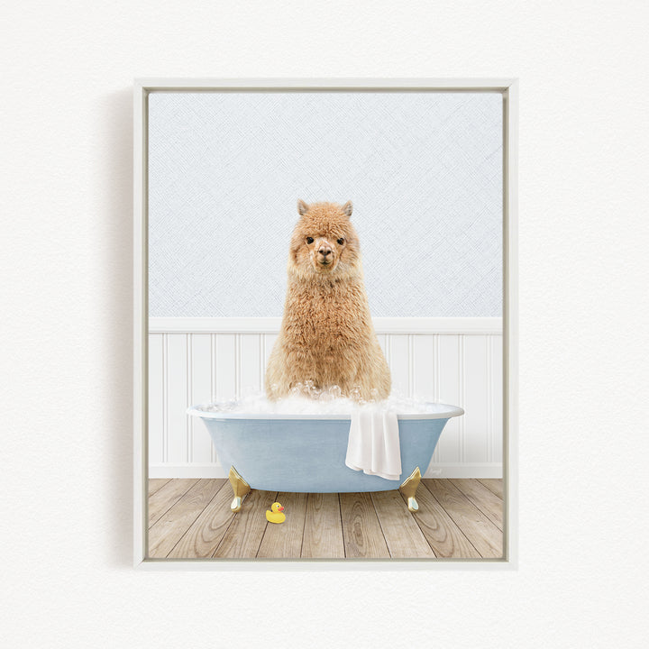 A fluffy brown dog sitting in a blue bathtub filled with bubbles, surrounded by rubber duckies.