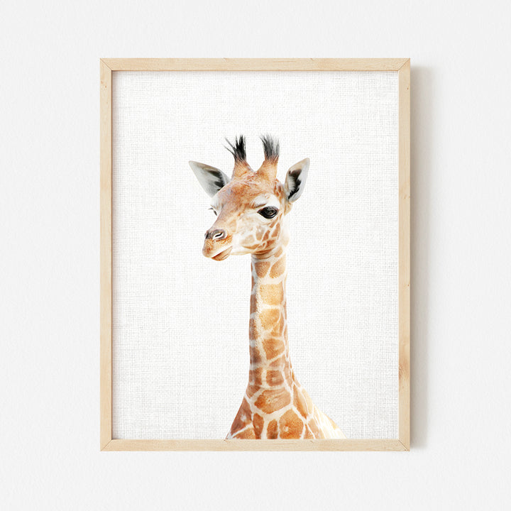 a picture of a giraffe in a wooden frame