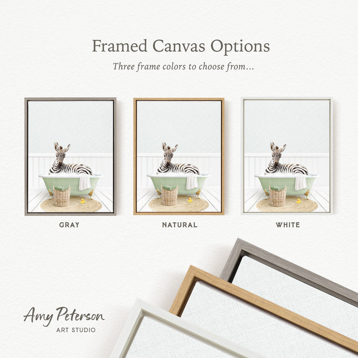 three framed canvas options, each featuring a zebra sitting in a bathtub. The options include a gray frame, a natural frame, and a white frame. The text above the options reads " Framed Canvas Options" and "Three frame colors to choose from...". The text below the options reads "GRY", "NATURAL", and "WHITE". The artist's name, " Amy Peterson ART STUDIO", is also present.