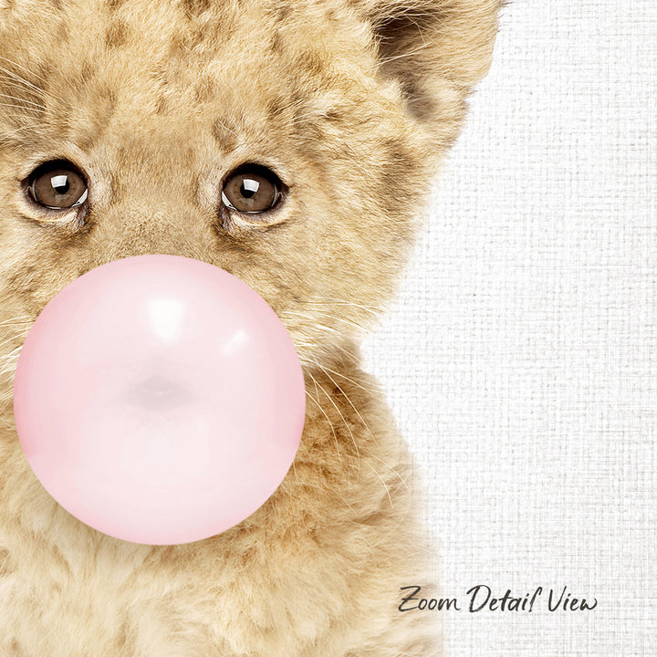 A close-up of a young lion cub blowing a pink bubble with its mouth, looking directly at the camera.
