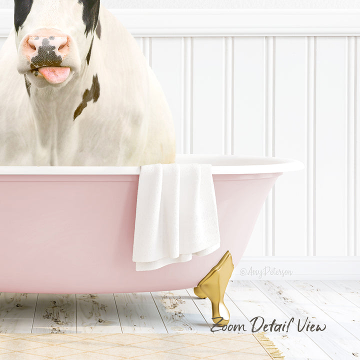 A cow is sitting in a pink bathtub, with a towel and gold bathtub stopper nearby.