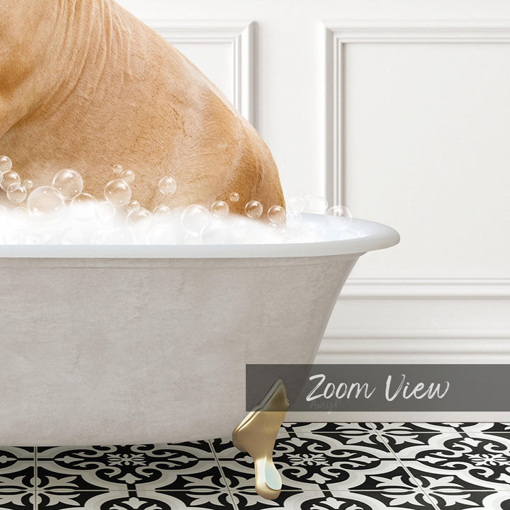 A dog is sitting in a bathtub filled with bubbles, with a text overlay that reads "Zoom View".