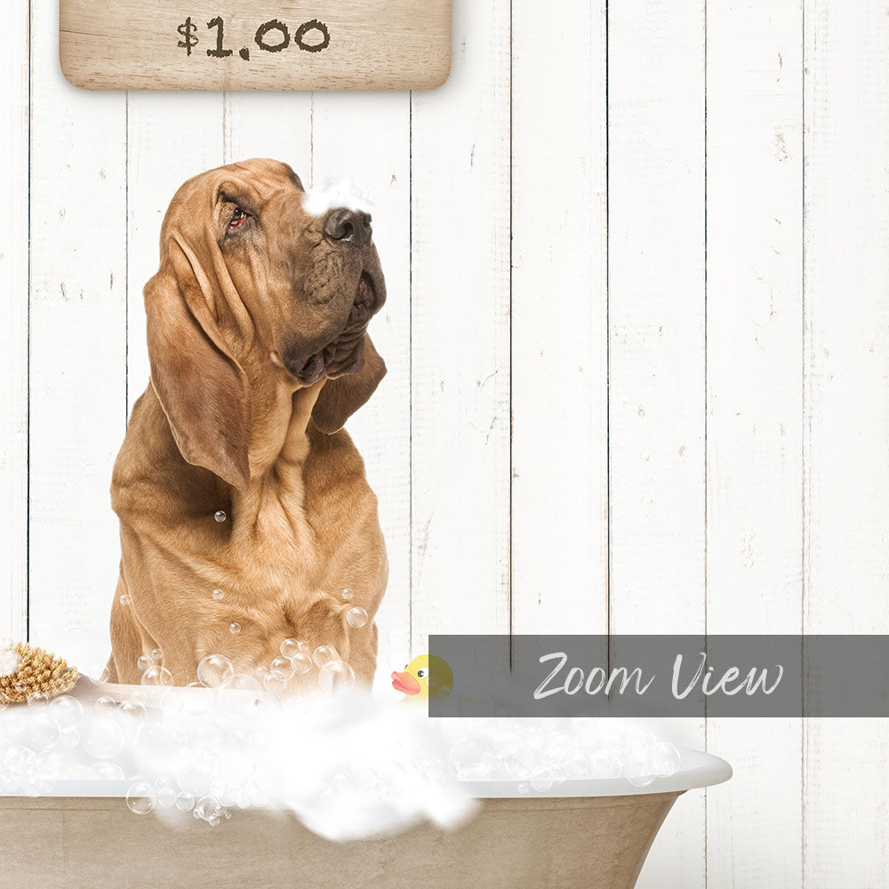 A brown dog sitting in a bathtub filled with bubbles, with a rubber duck floating nearby.