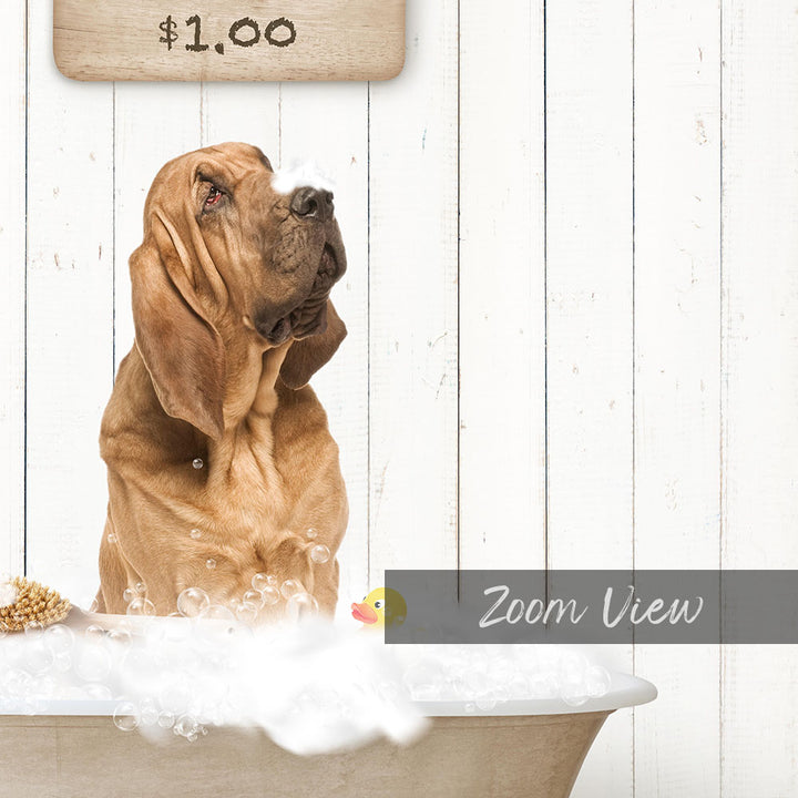 A brown dog sitting in a bathtub filled with bubbles, with a rubber duck floating nearby.