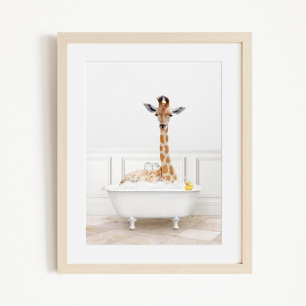 A giraffe is sitting in a white bathtub filled with water, with a yellow rubber duck floating in the water.