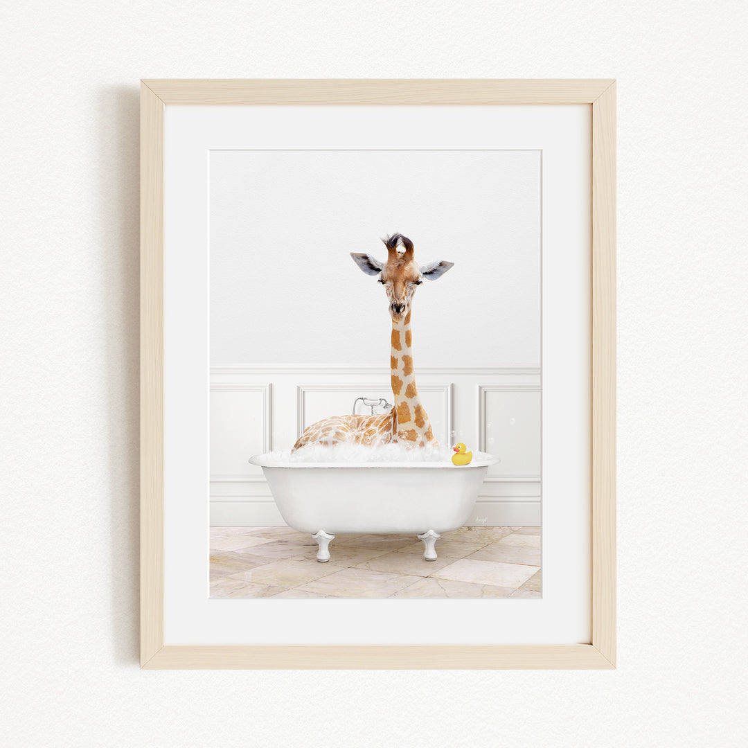 A giraffe is sitting in a white bathtub filled with water, with a yellow rubber duck floating in the water.