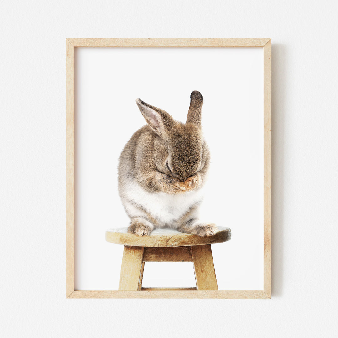 a rabbit sitting on top of a wooden stool