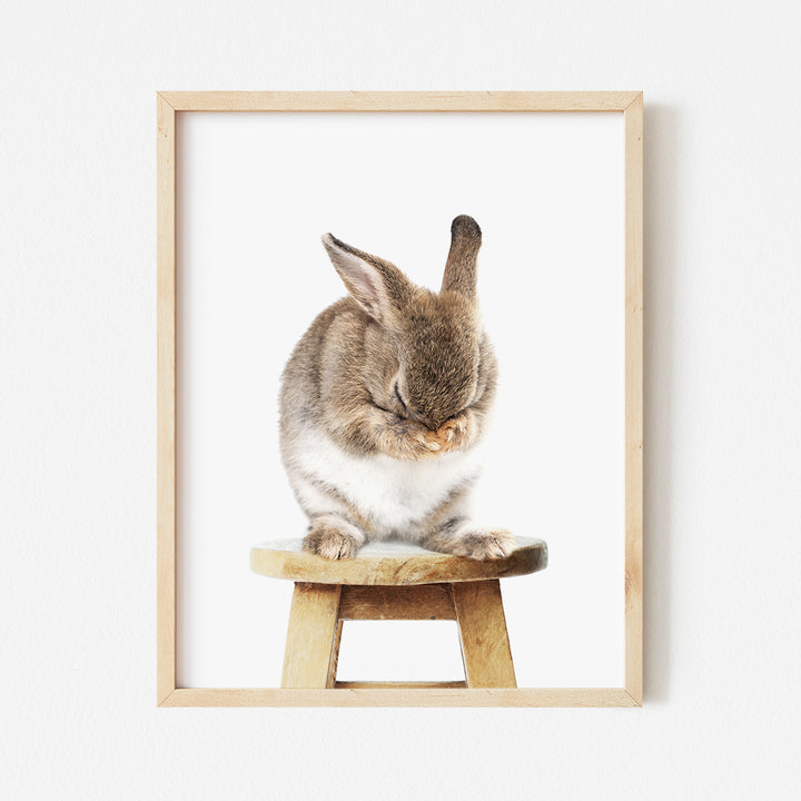 a rabbit sitting on top of a wooden stool