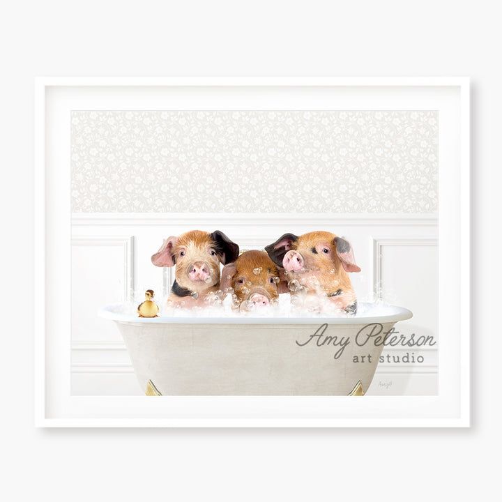 three pigs in a bathtub with a white background