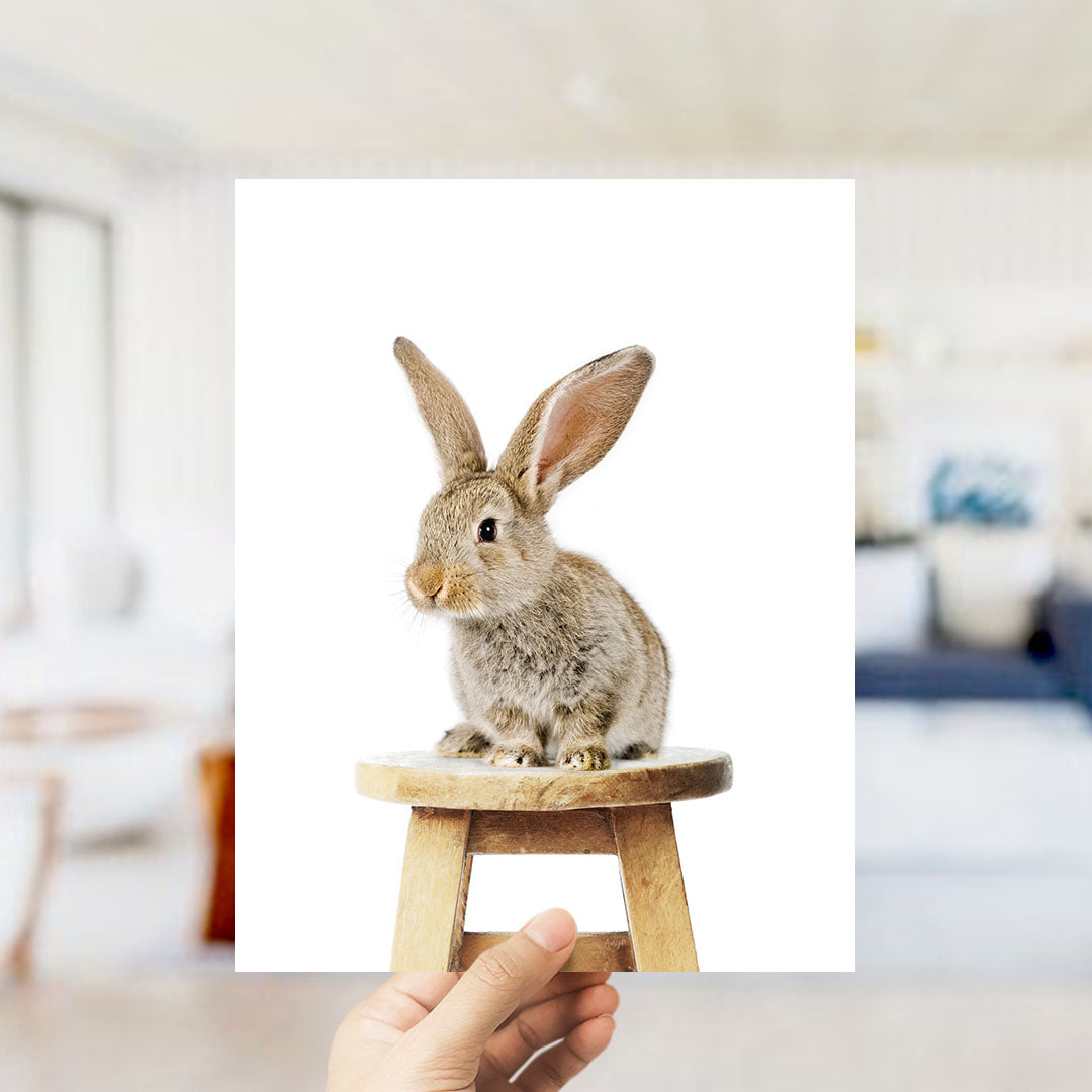A small, light brown rabbit sitting on a wooden stool.