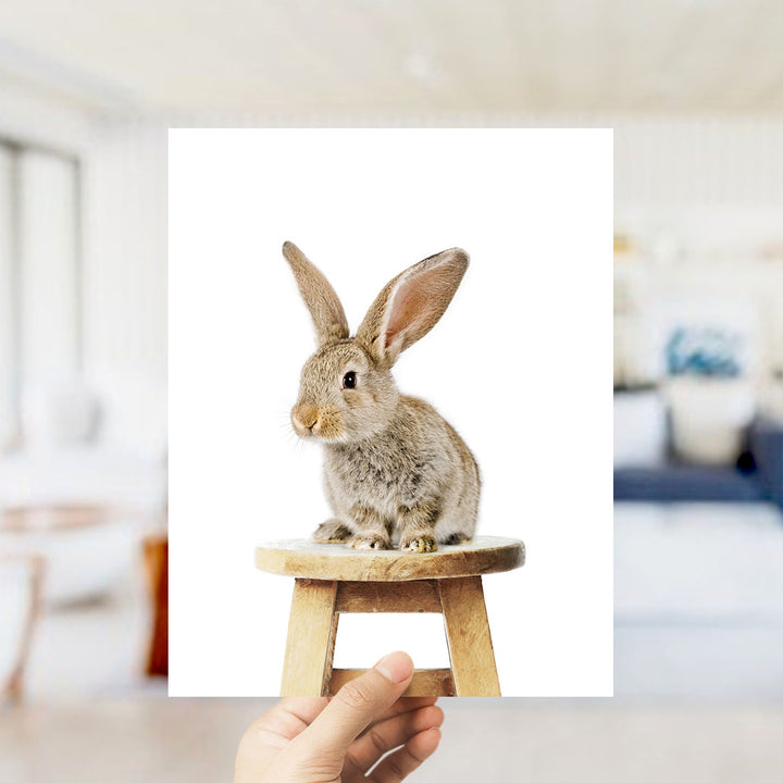A small, light brown rabbit sitting on a wooden stool.