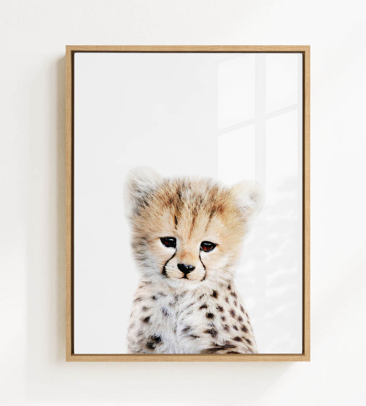 A young cheetah with a spotted coat gazes directly at the camera, its eyes full of curiosity and alertness.