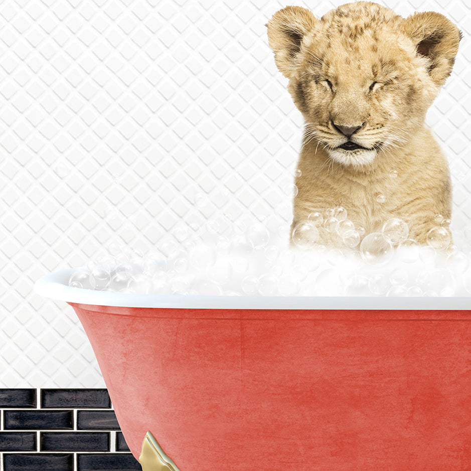 a lion cub sitting in a bathtub filled with foam