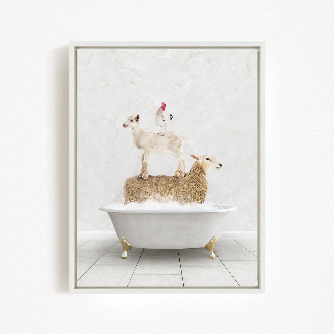 A white bathtub filled with water, with a goat standing on top of it and a chicken perched on its back.