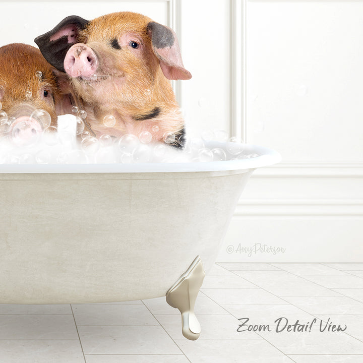 A white bathtub filled with bubbles, with two adorable pigs sitting inside and enjoying the bath.