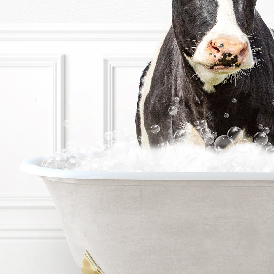 a black and white cow sitting in a bathtub filled with bubbles