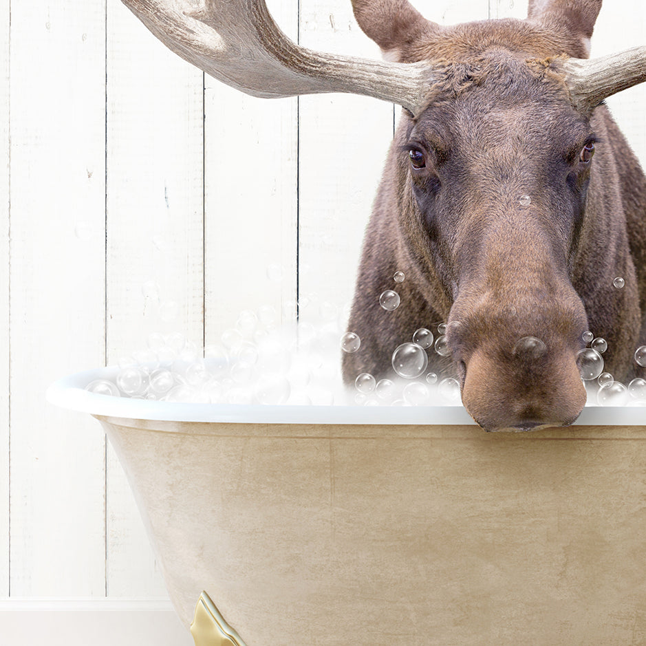 a moose is taking a bath in a bathtub