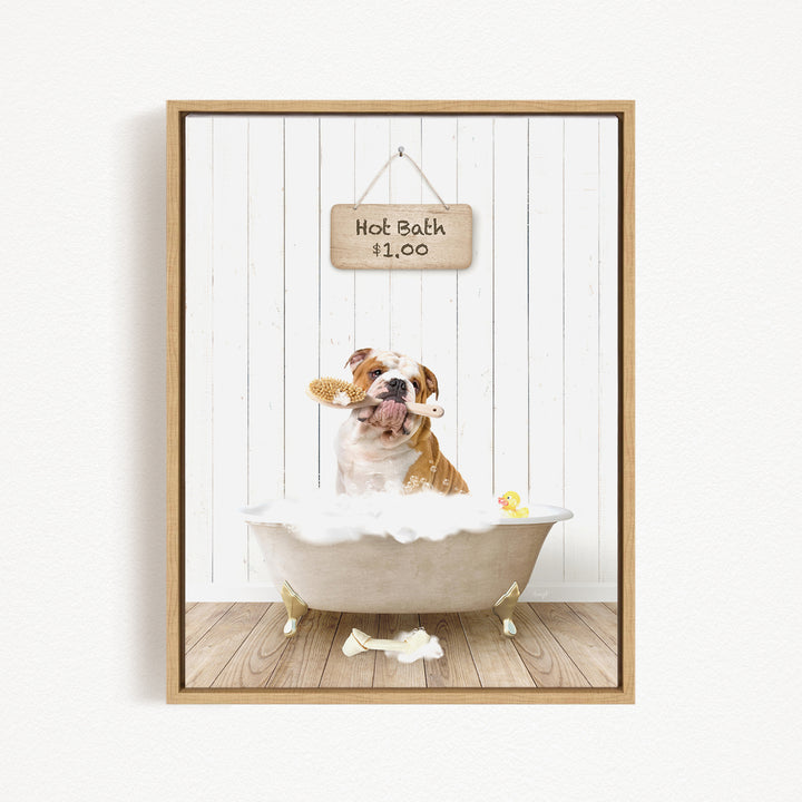 A brown and white bulldog sitting in a white bathtub, holding a yellow rubber duck, with a wooden sign above that says "Hot Bath $1.00".