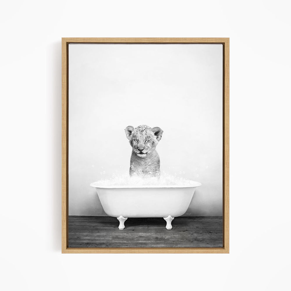 A young lion cub sitting in a white bathtub filled with water, looking directly at the camera.