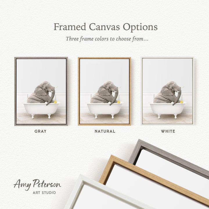 The image is a framed canvas option showcasing three different frame colors: gray, natural, and white. The gray frame has a picture of an elephant sitting in a bathtub, the natural frame has a picture of an elephant sitting in a bathtub, and the white frame has a picture of an elephant sitting in a bathtub.