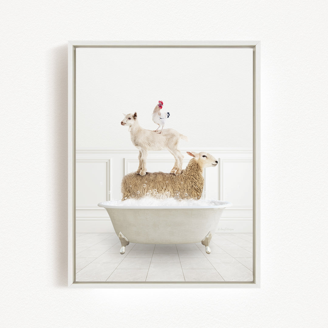 A white bathtub filled with water, with two sheep standing on top of it and a chicken perched on one of the sheep's back.