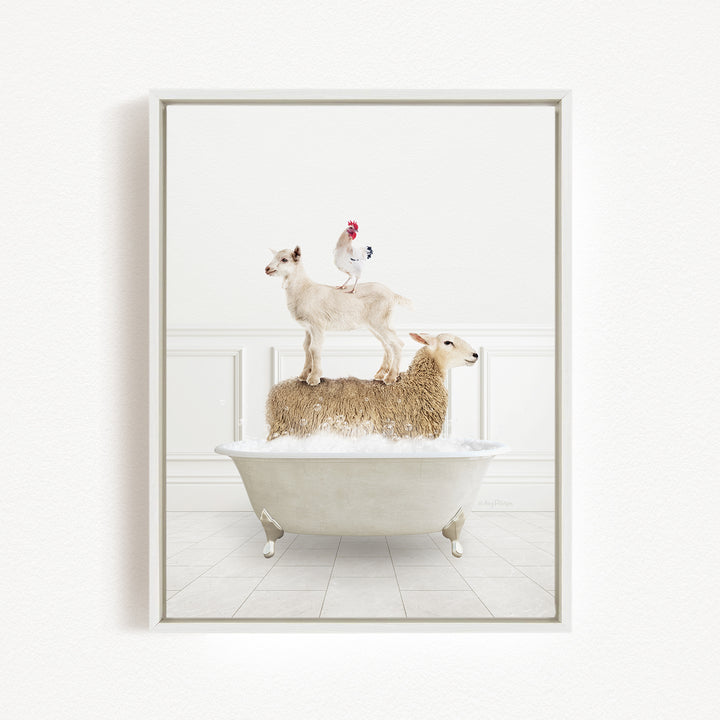 A white bathtub filled with water, with two sheep standing on top of it and a chicken perched on one of the sheep's back.