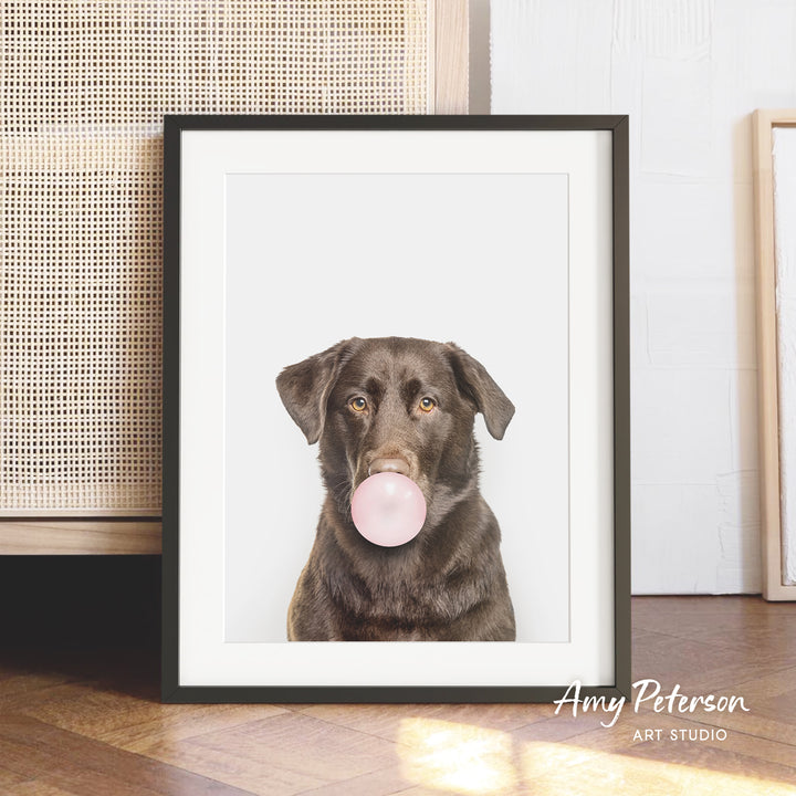A framed photograph of a brown dog blowing a bubble with a pink bubble gum bubble.