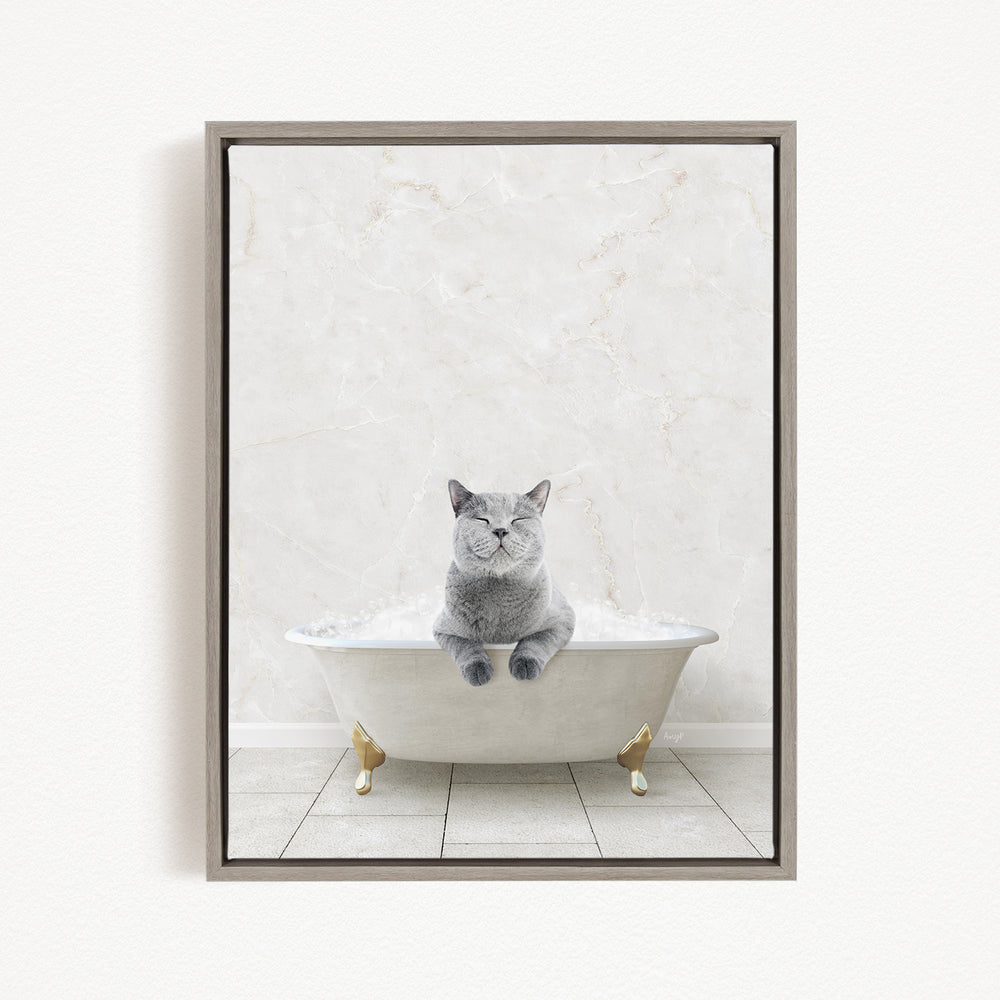 A gray cat sitting in a white bathtub filled with bubbles, looking content and relaxed.