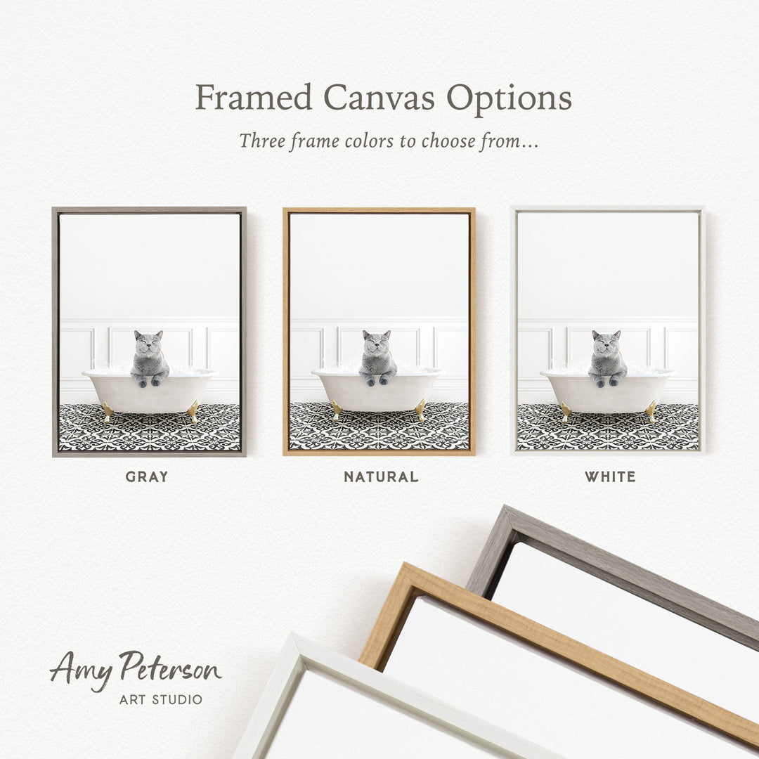 three framed canvas options, each featuring a cat sitting in a bathtub. The options include a gray bathtub, a natural bathtub, and a white bathtub. The text above the images reads " Framed Canvas Options" and "Three frame colors to choose from...".