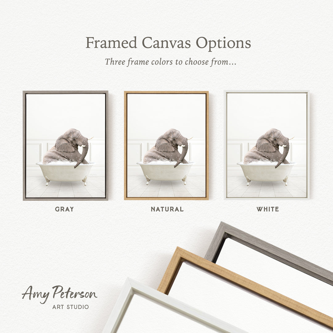 The image is a framed canvas option showcasing three different frame colors: gray, natural, and white. The gray frame is labeled as "gray" and the natural frame is labeled as "natural". The white frame is labeled as "white". The image features a gray elephant sitting in a bathtub, and the text above the image reads " framed Canvas Options".