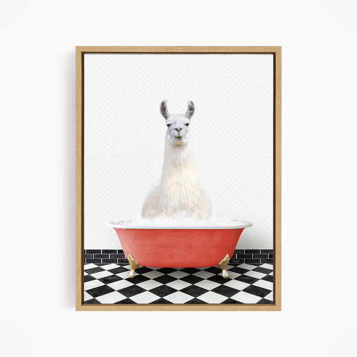 A white llama sitting in a red bathtub filled with bubbles, with a black and white checkered floor in the background.