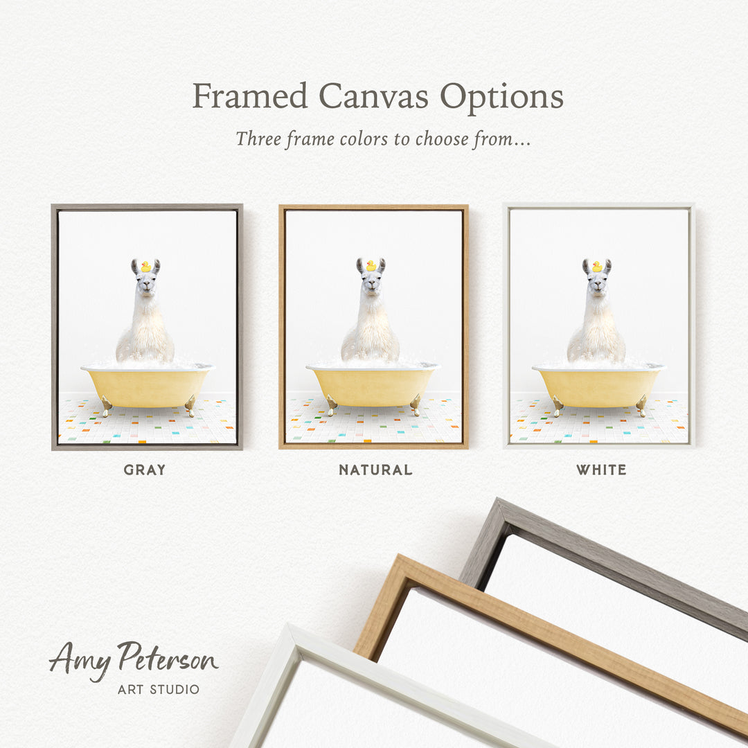 three framed canvas options, each featuring a white llama sitting in a bathtub. The options include a gray frame, a natural frame, and a white frame.
