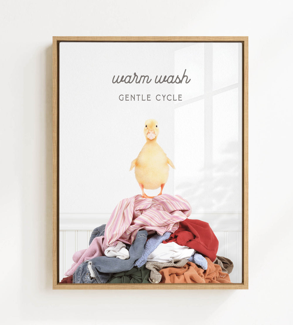 A framed image depicting a yellow duck standing on a pile of clothes, with the text "Warm Wash Gentle Cycle" written above it.