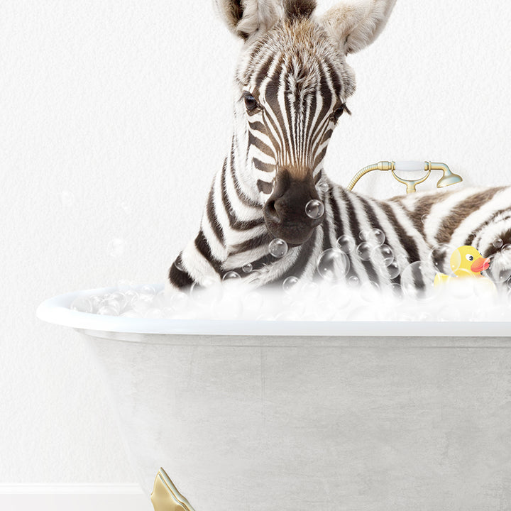 a baby zebra laying in a bath tub