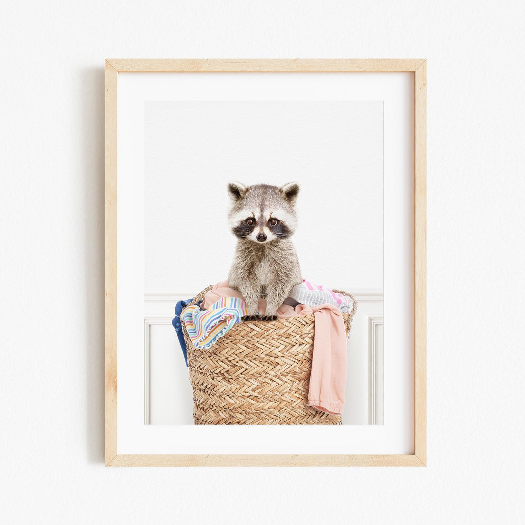 a picture of a raccoon sitting in a basket