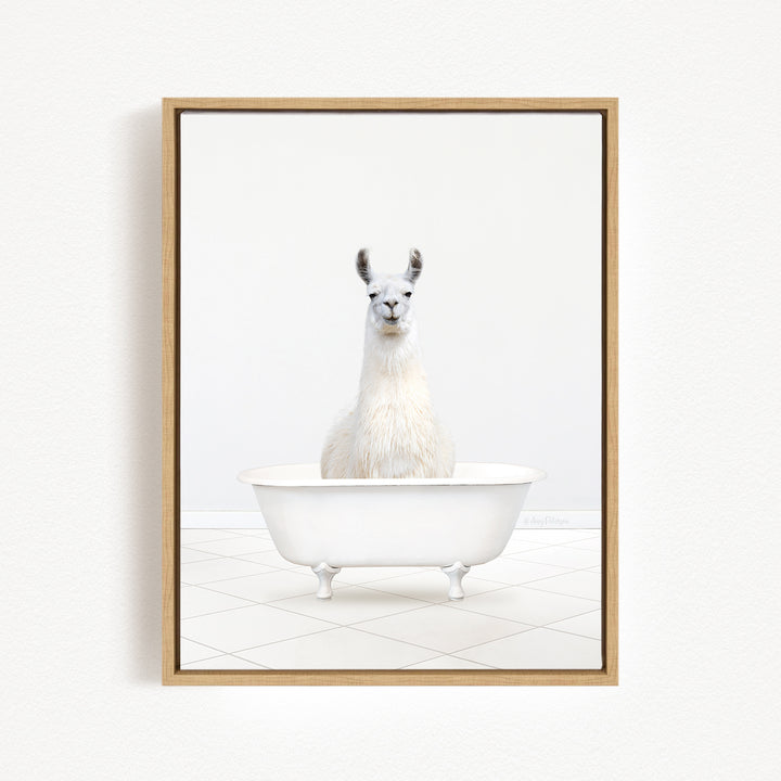 A white llama sitting in a white bathtub against a white background.
