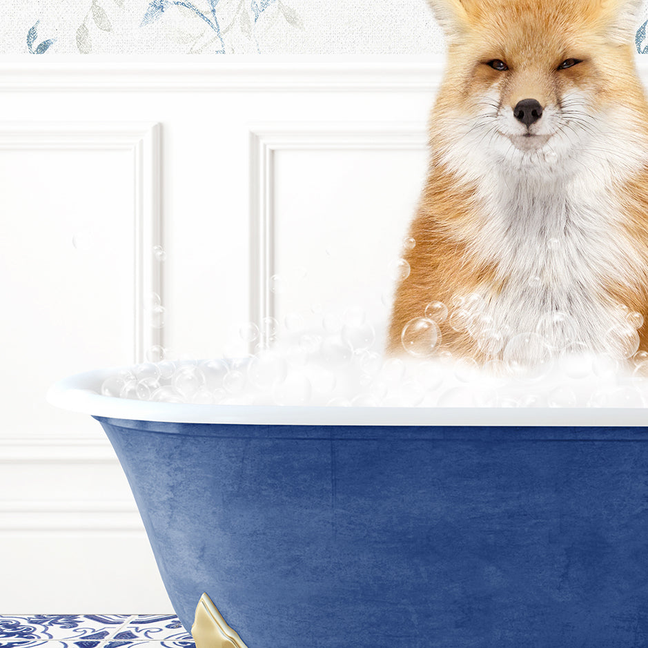 a red fox sitting in a blue bath tub