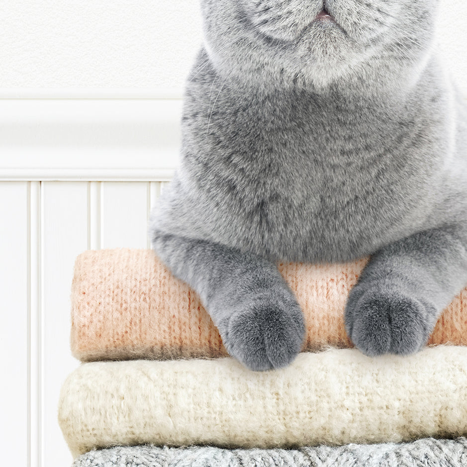 Cat on Folded Sweaters - Clean Laundry Makes Me Happy