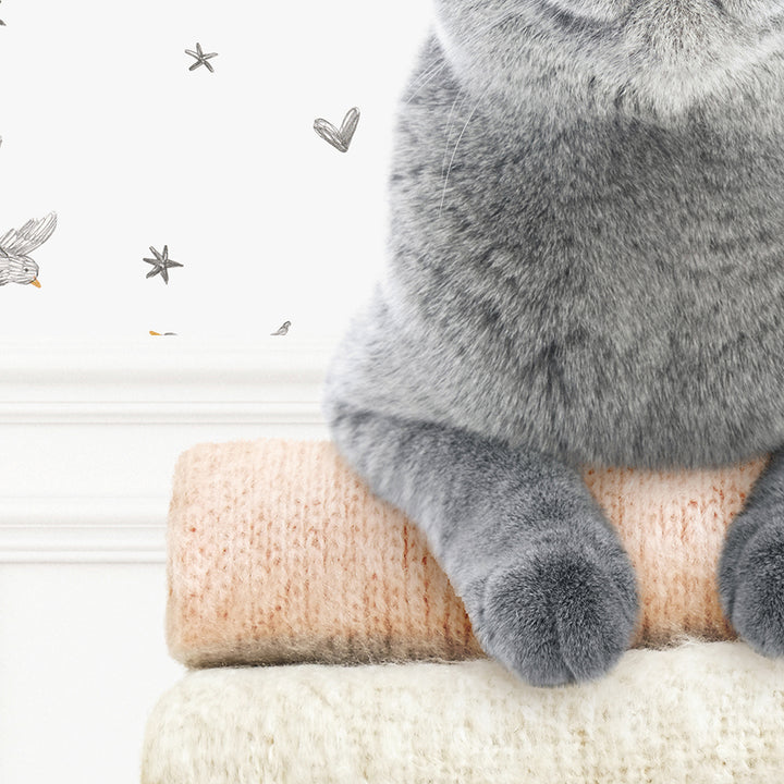 Cat on Folded Sweaters - Assorted Wallpapers