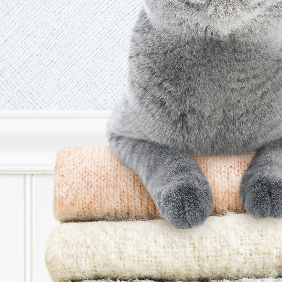 Cat on Sweaters - Cottage Blue Wall